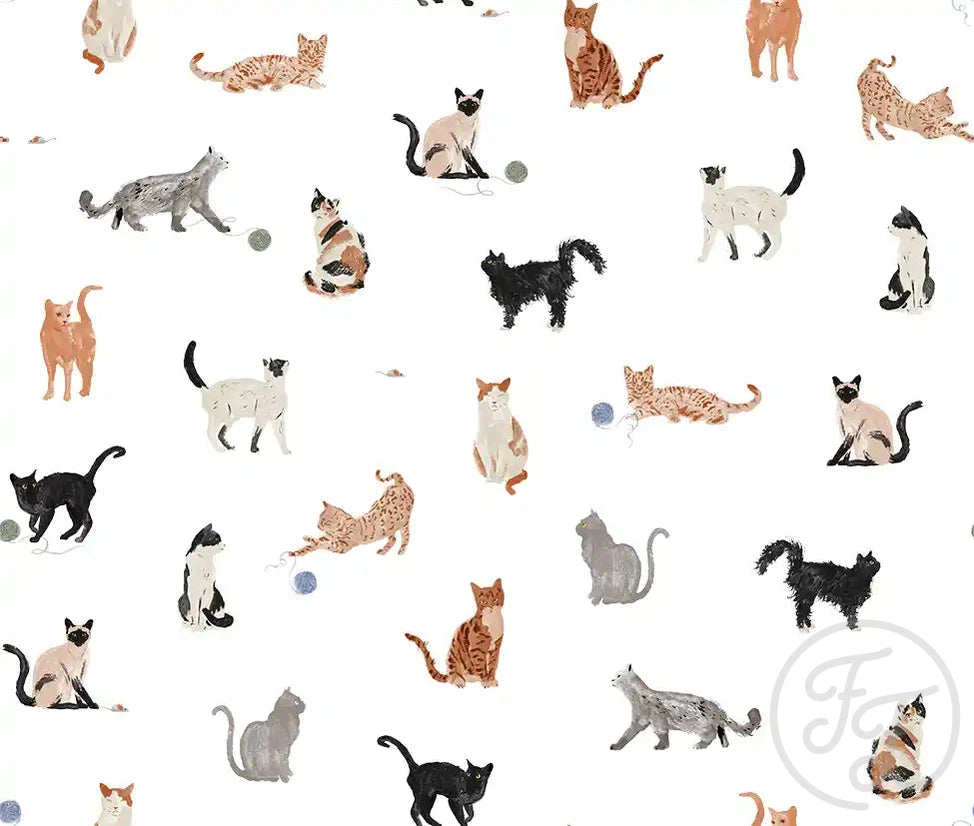Cats